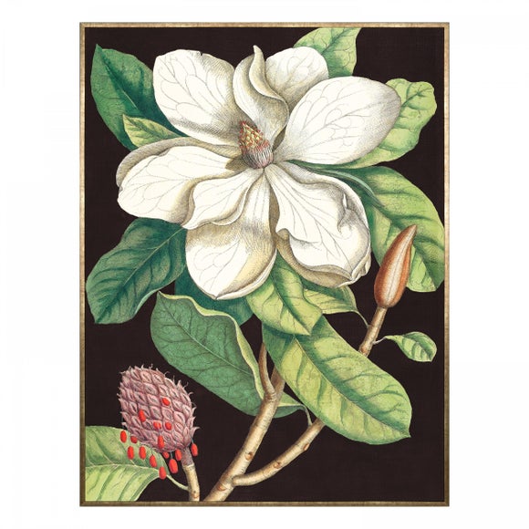 Cedar & Sage Laurel Tree Framed Canvas